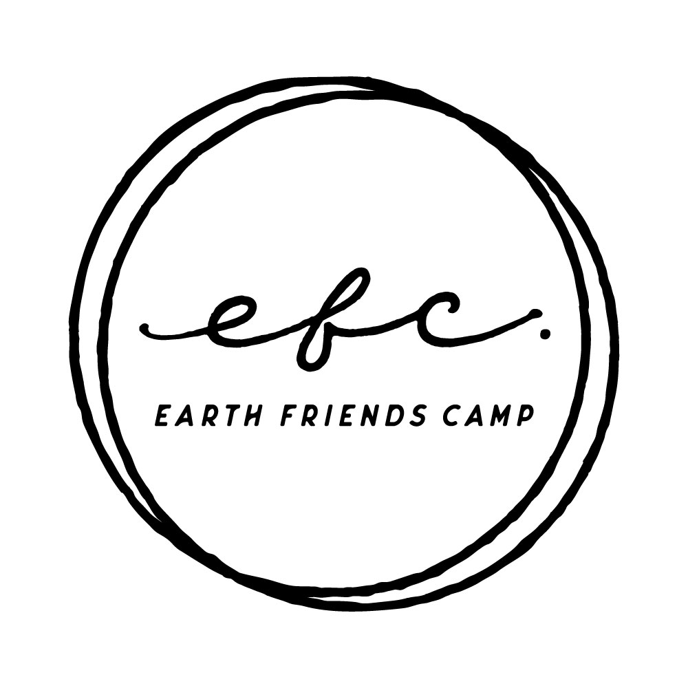 EARTH FRIENDS CAMP